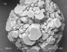 JDB����(�й���)���ٷ���վ