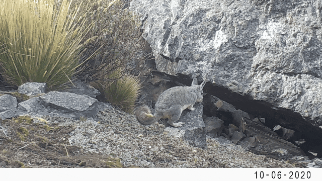 JDB����(�й���)���ٷ���վ