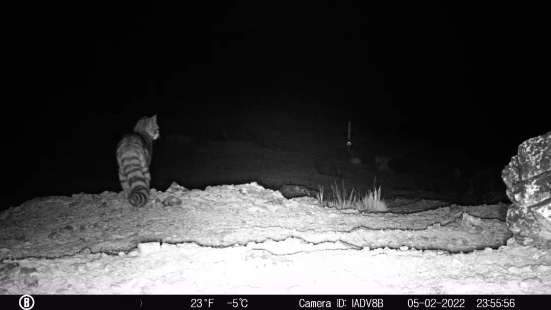 JDB����(�й���)���ٷ���վ