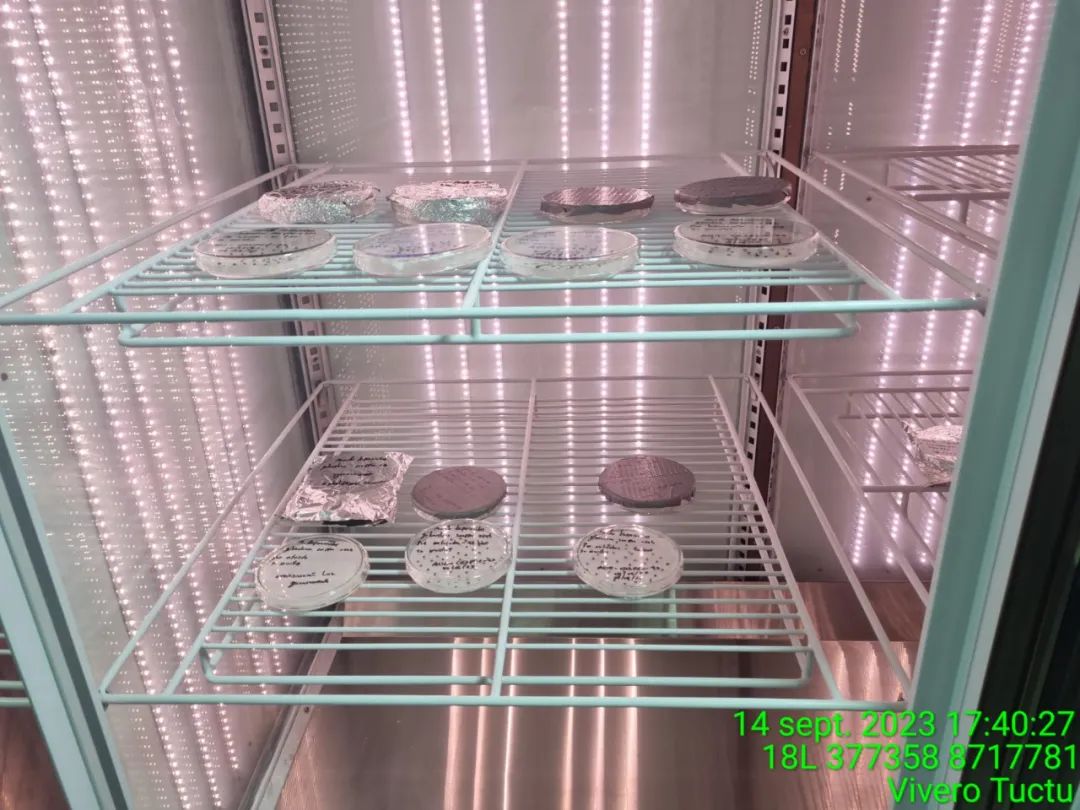 JDB����(�й���)���ٷ���վ