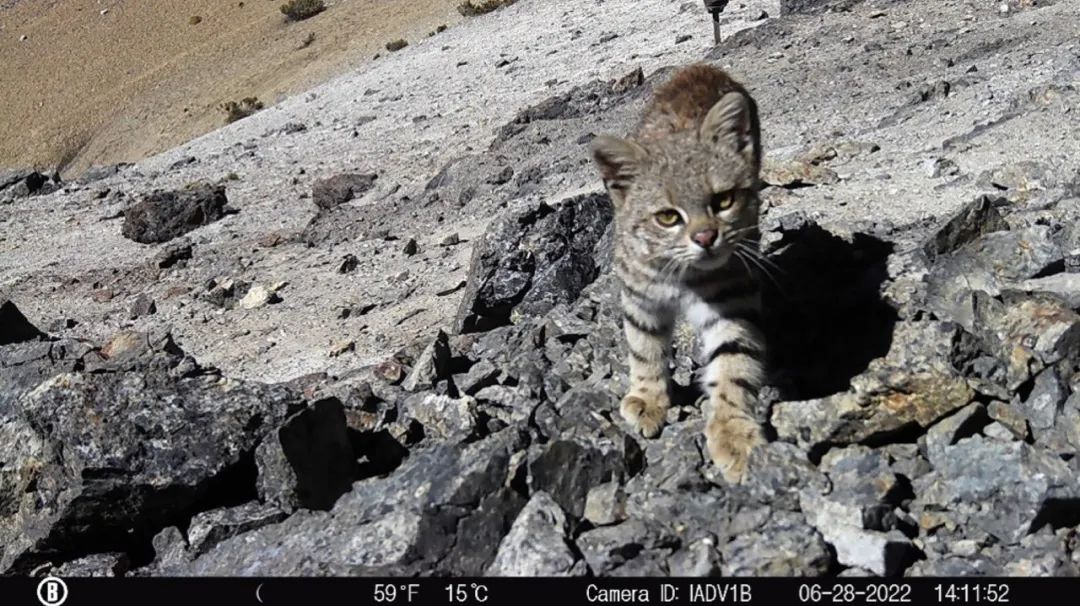 JDB����(�й���)���ٷ���վ