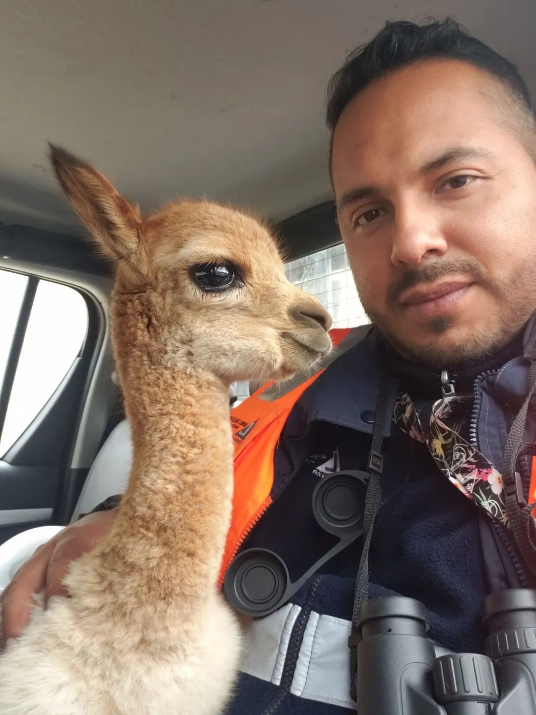 JDB����(�й���)���ٷ���վ