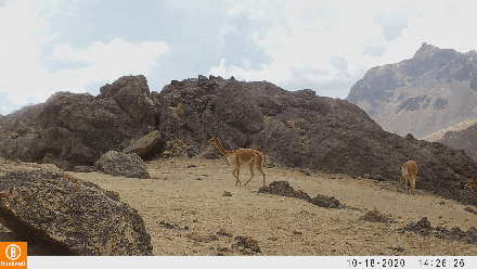 JDB����(�й���)���ٷ���վ