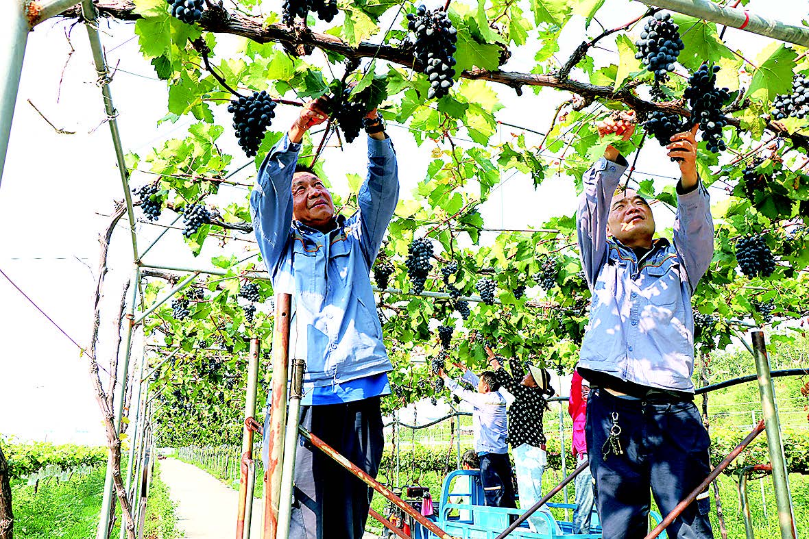 JDB����(�й���)���ٷ���վ