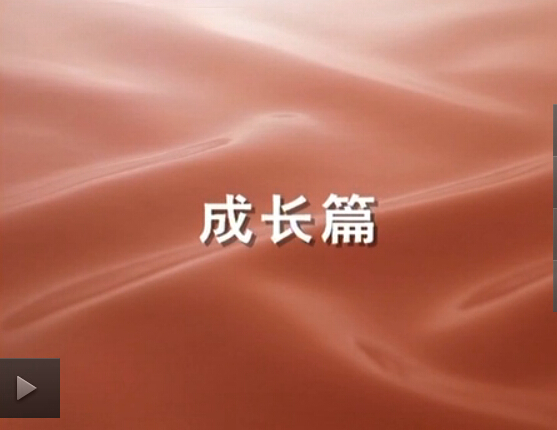 JDB����(�й���)���ٷ���վ